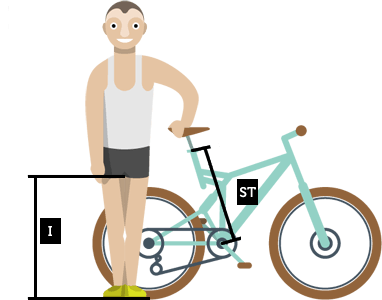 mountain bike size for height